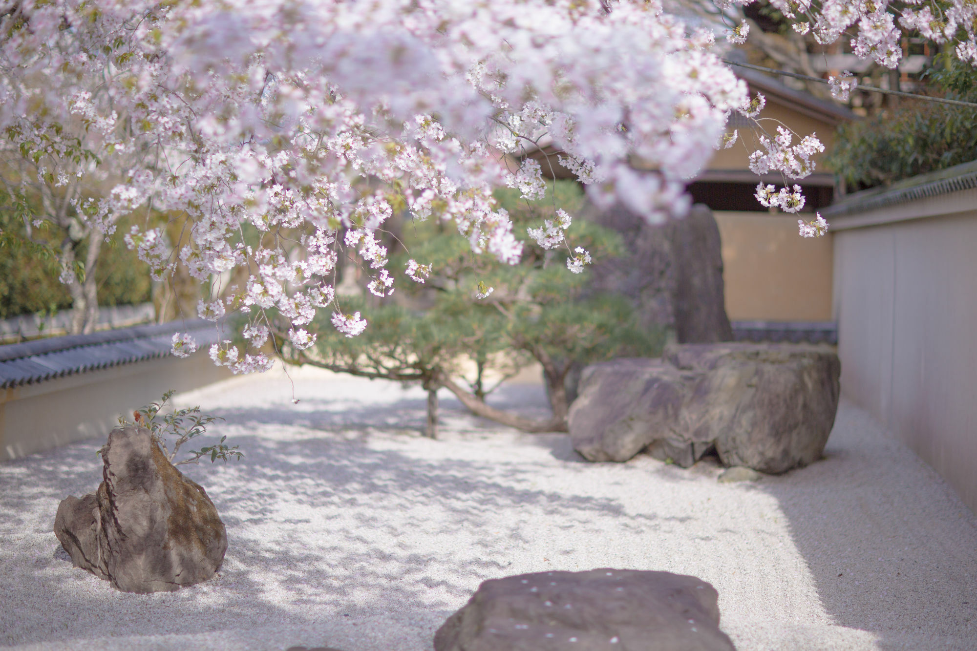 Muko Kyoto Fushimi Ohana מראה חיצוני תמונה